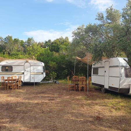 Aquariumi Jale Camping Екстериор снимка