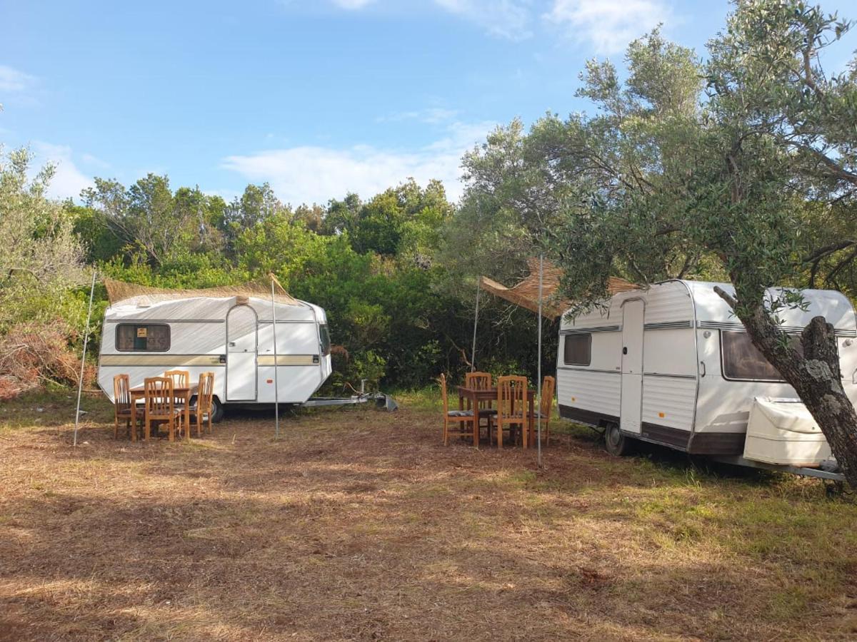Aquariumi Jale Camping Екстериор снимка